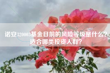 诺安320003基金目前的风险等级是什么？适合哪类投资人群？