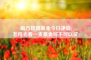南方稳健基金今日净值(
怎样去看一支基金可不可以买)