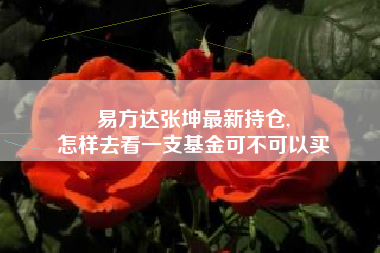 易方达张坤最新持仓,
怎样去看一支基金可不可以买