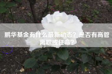 鹏华基金有什么最新动态？是否有高管离职或任命？