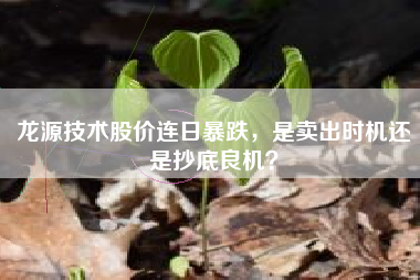 龙源技术股价连日暴跌，是卖出时机还是抄底良机？