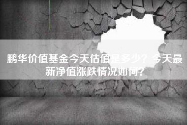 鹏华价值基金今天估值是多少？今天最新净值涨跌情况如何？
