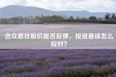 合众思壮股价能否反弹，投资者该怎么应对？