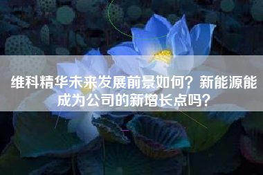 维科精华未来发展前景如何？新能源能成为公司的新增长点吗？