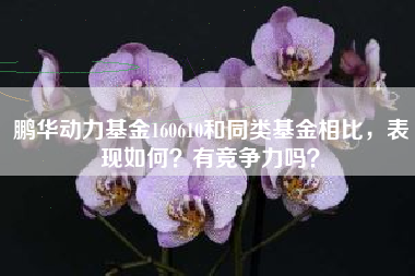 鹏华动力基金160610和同类基金相比，表现如何？有竞争力吗？
