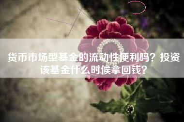 货币市场型基金的流动性便利吗？投资该基金什么时候拿回钱？