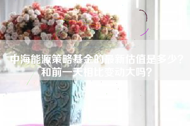 中海能源策略基金的最新估值是多少？和前一天相比变动大吗？