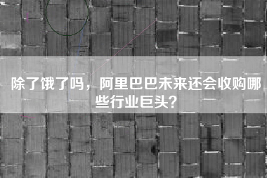 除了饿了吗，阿里巴巴未来还会收购哪些行业巨头？