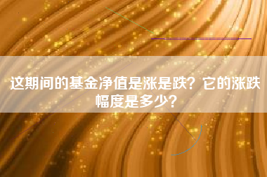 这期间的基金净值是涨是跌？它的涨跌幅度是多少？