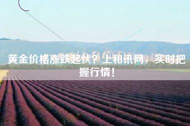 黄金价格涨跌起伏？上和讯网，实时把握行情！