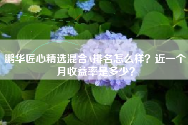 鹏华匠心精选混合A排名怎么样？近一个月收益率是多少？