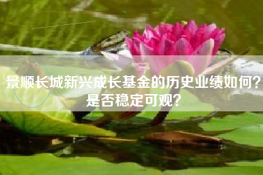 景顺长城新兴成长基金的历史业绩如何？是否稳定可观？