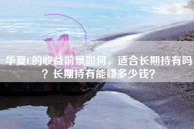 华夏C的收益前景如何，适合长期持有吗？长期持有能赚多少钱？