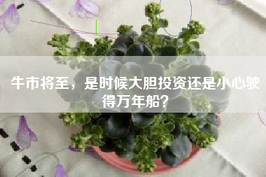 牛市将至，是时候大胆投资还是小心驶得万年船？