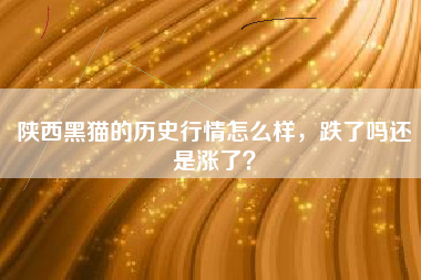 陕西黑猫的历史行情怎么样，跌了吗还是涨了？