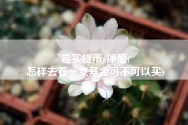 嘉实货币a净值(
怎样去看一支基金可不可以买)