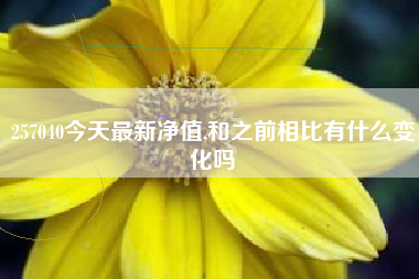 257040今天最新净值,和之前相比有什么变化吗