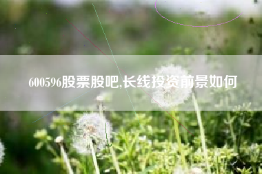 600596股票股吧,长线投资前景如何