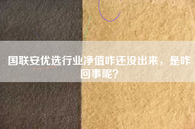 国联安优选行业净值咋还没出来，是咋回事呢？