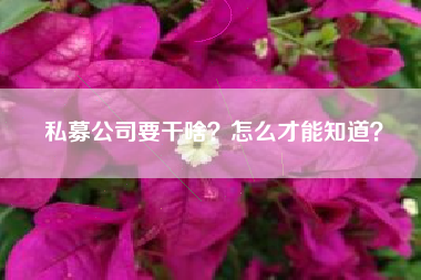 私募公司要干啥？怎么才能知道？