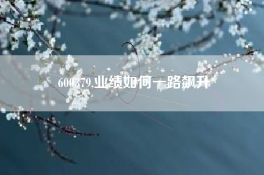 600379,业绩如何一路飙升