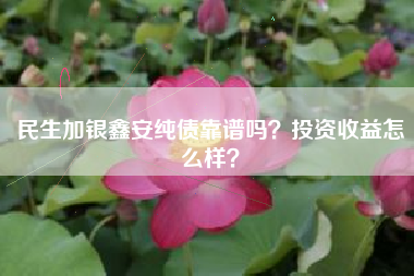 民生加银鑫安纯债靠谱吗？投资收益怎么样？