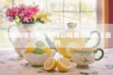 国电南瑞充电桩科技公司,售后服务全面吗