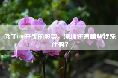 除了000开头的股票，深圳还有哪些特殊代码？