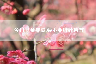 今日基金暴跌,要不要继续持有