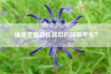 谁是冬奥商机背后的股票龙头？