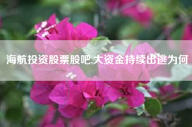 海航投资股票股吧,大资金持续出逃为何