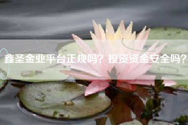 鑫圣金业平台正规吗？投资资金安全吗？