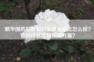 鹏华国防指数和同类基金相比怎么样？它的排名优势在哪方面？