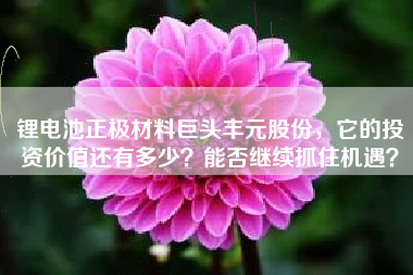 锂电池正极材料巨头丰元股份，它的投资价值还有多少？能否继续抓住机遇？