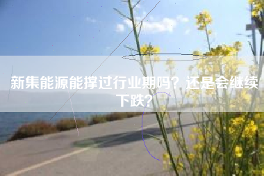 新集能源能撑过行业期吗？还是会继续下跌？