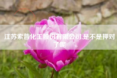 江苏索普化工股份有限公司,是不是押对了呢