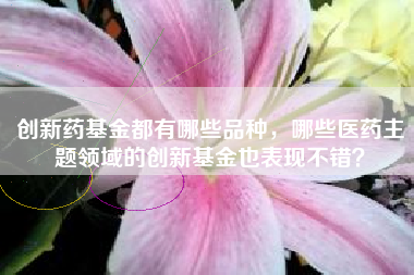 创新药基金都有哪些品种，哪些医药主题领域的创新基金也表现不错？
