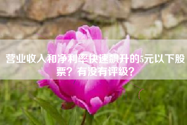 营业收入和净利率快速飙升的5元以下股票？有没有评级？