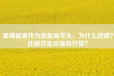 美锦能源作为氢能源龙头，为什么回调？还能否走出强劲行情？