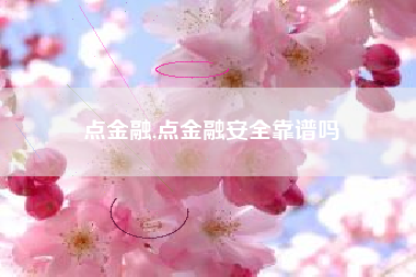 点金融,点金融安全靠谱吗