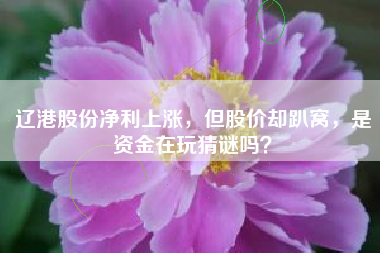 辽港股份净利上涨，但股价却趴窝，是资金在玩猜谜吗？
