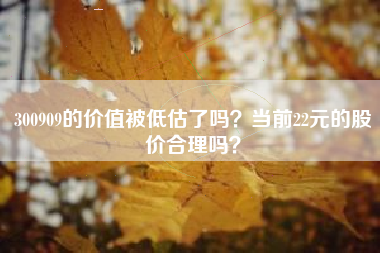 300909的价值被低估了吗？当前22元的股价合理吗？