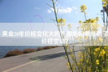 黄金20年价格变化大吗？哪些因素推动了价格变动？