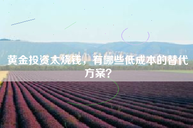 黄金投资太烧钱，有哪些低成本的替代方案？