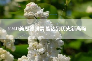 603041美思德股票,能达到历史新高吗