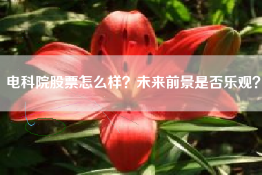 电科院股票怎么样？未来前景是否乐观？