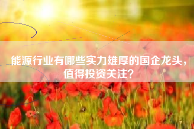 能源行业有哪些实力雄厚的国企龙头，值得投资关注？
