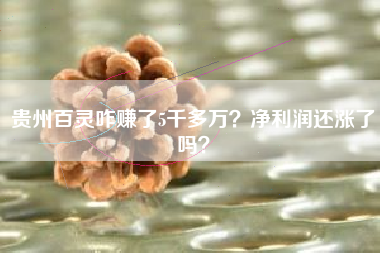 贵州百灵咋赚了5千多万？净利润还涨了吗？