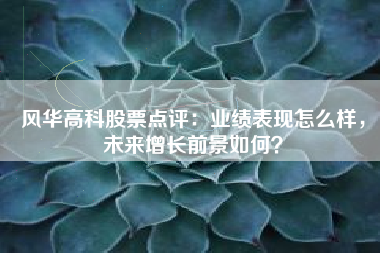 风华高科股票点评：业绩表现怎么样，未来增长前景如何？