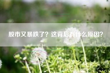 股市又暴跌了？这背后有什么原因？